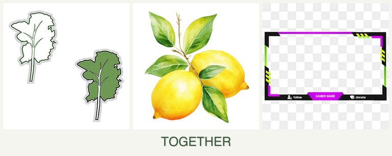 Can you plant kale, lemons and limes together?
