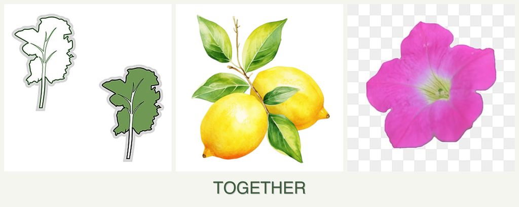 Can you plant kale, lemons and petunias together?