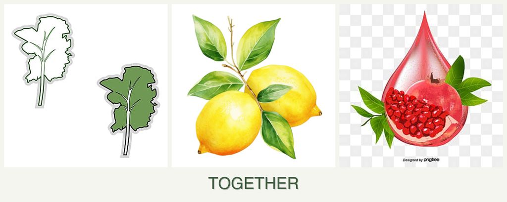 Can you plant kale, lemons and pomegranates together?