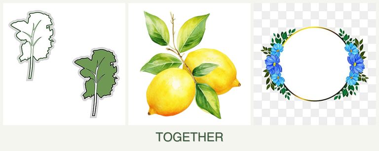 Can you plant kale, lemons and zinnias together?