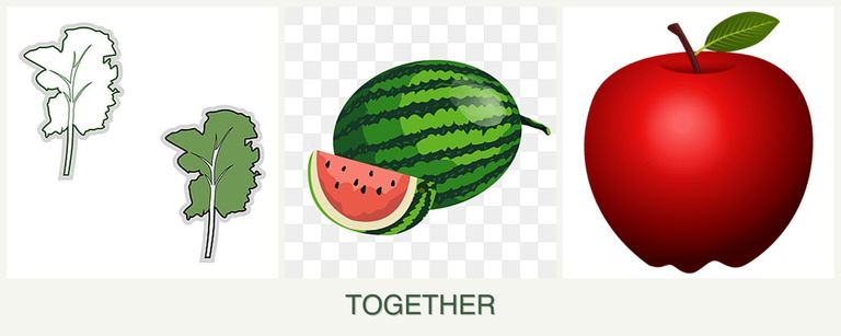 Can you plant kale, melons and apples together?