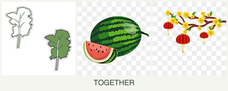 Can you plant kale, melons and apricots together?