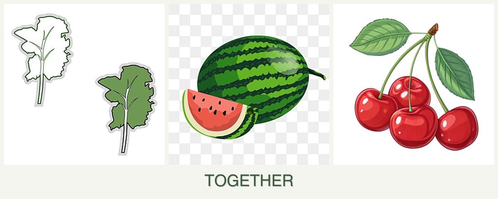 Can you plant kale, melons and cherries together?