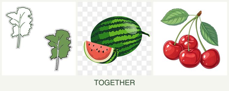 Can you plant kale, melons and cherries together?
