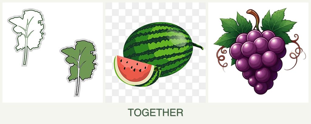 Can you plant kale, melons and grapes together?