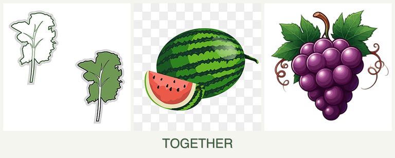 Can you plant kale, melons and grapes together?