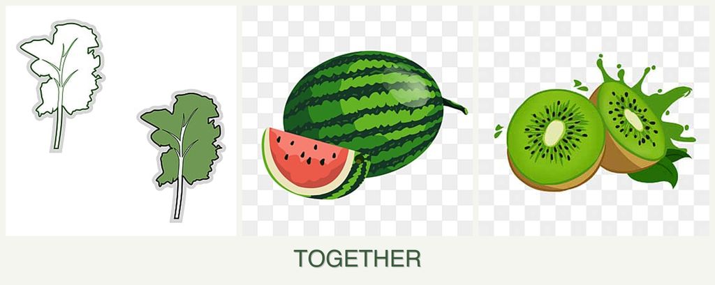 Can you plant kale, melons and kiwi together?