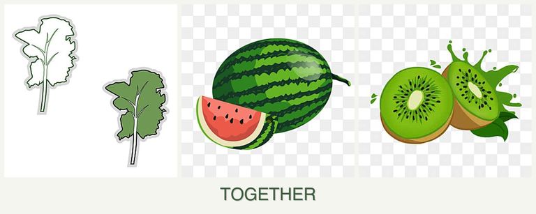 Can you plant kale, melons and kiwi together?
