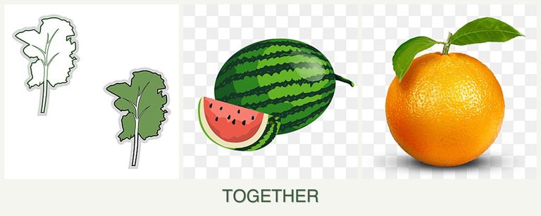Can you plant kale, melons and oranges together?