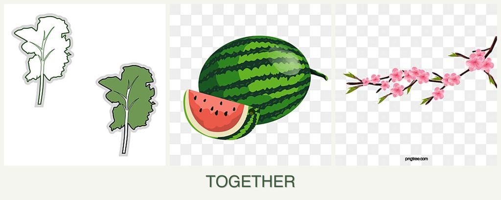 Can you plant kale, melons and peaches together?