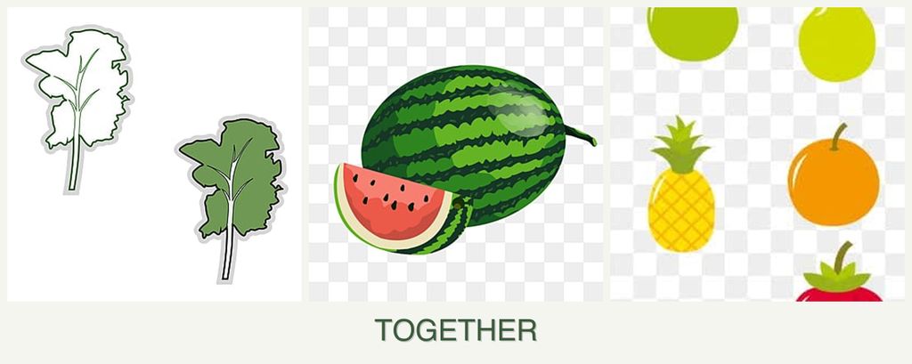 Can you plant kale, melons and pears together?