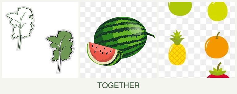 Can you plant kale, melons and pears together?