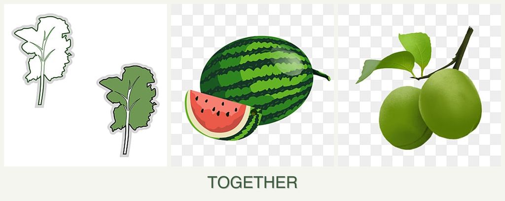 Can you plant kale, melons and plums together?