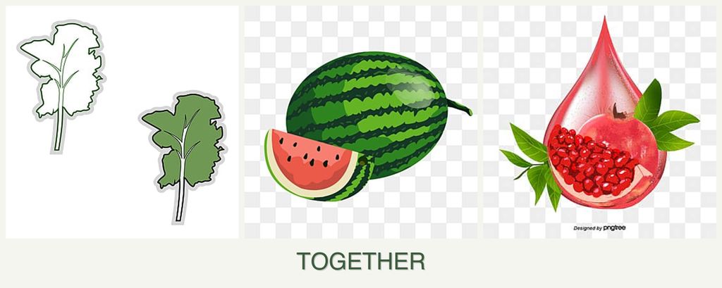 Can you plant kale, melons and pomegranates together?