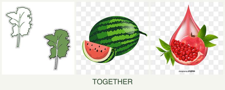 Can you plant kale, melons and pomegranates together?