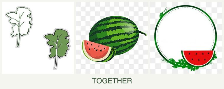 Can you plant kale, melons and watermelons together?
