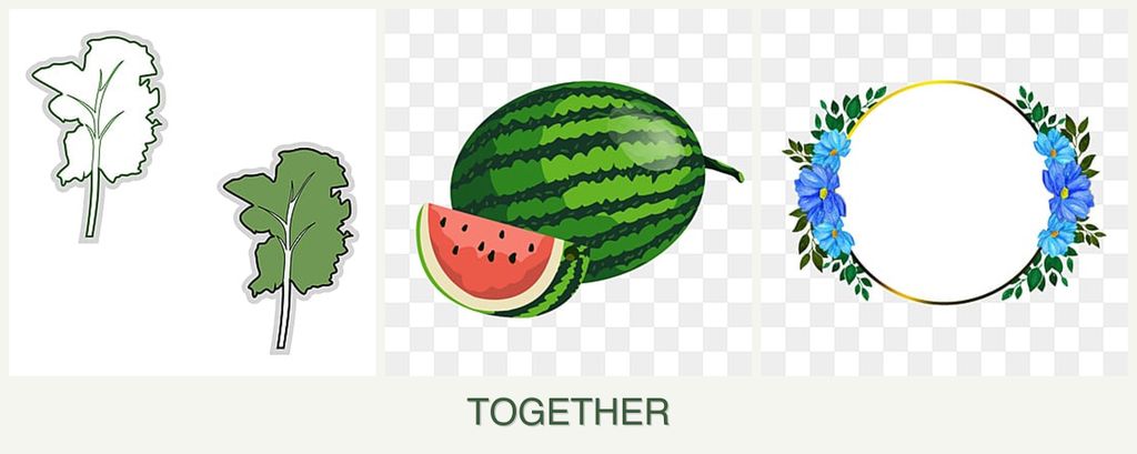 Can you plant kale, melons and zinnias together?
