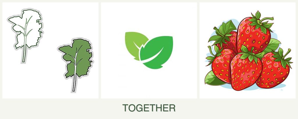 Can you plant kale, mint and strawberries together?