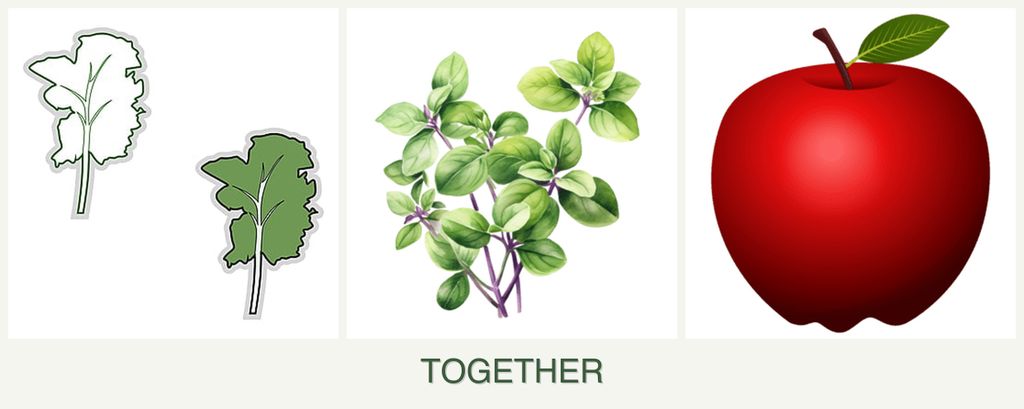Can you plant kale, oregano and apples together?