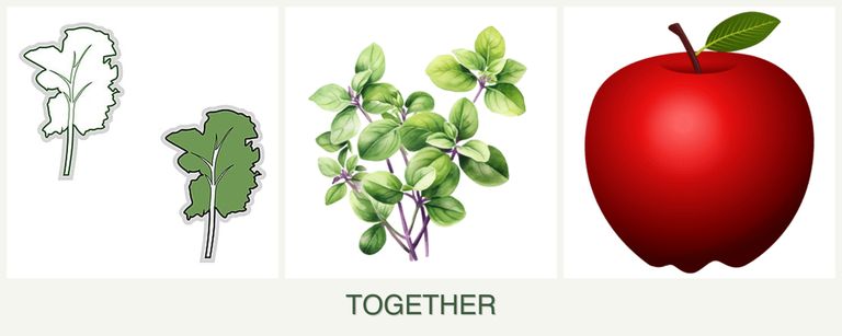 Can you plant kale, oregano and apples together?