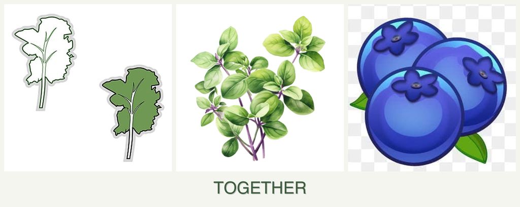 Can you plant kale, oregano and blueberries together?