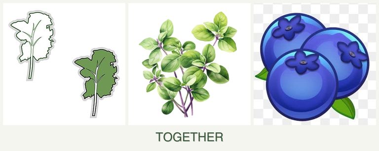 Can you plant kale, oregano and blueberries together?