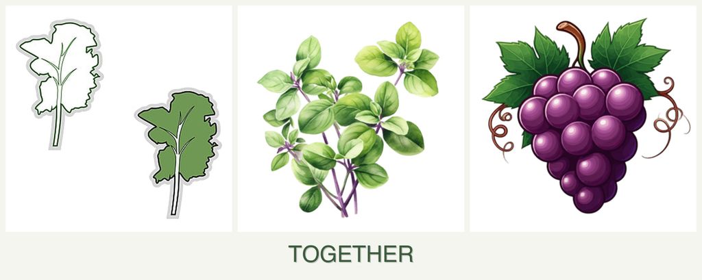 Can you plant kale, oregano and grapes together?