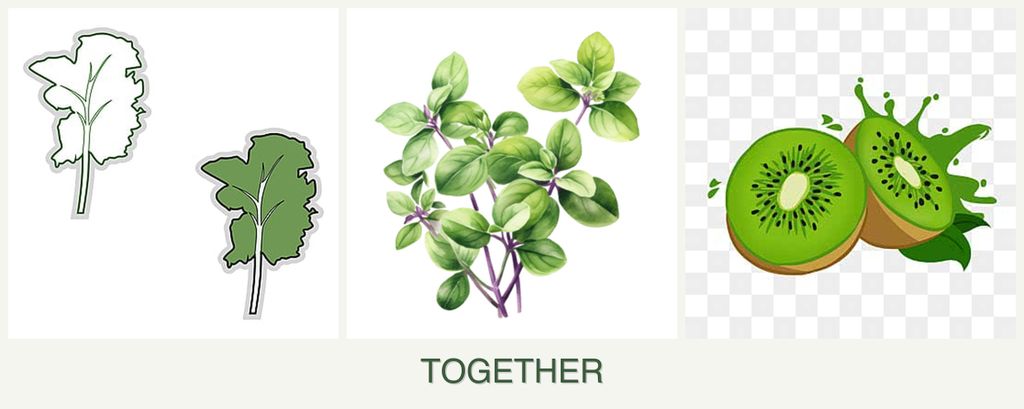 Can you plant kale, oregano and kiwi together?