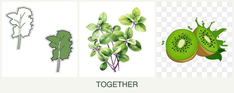 Can you plant kale, oregano and kiwi together?