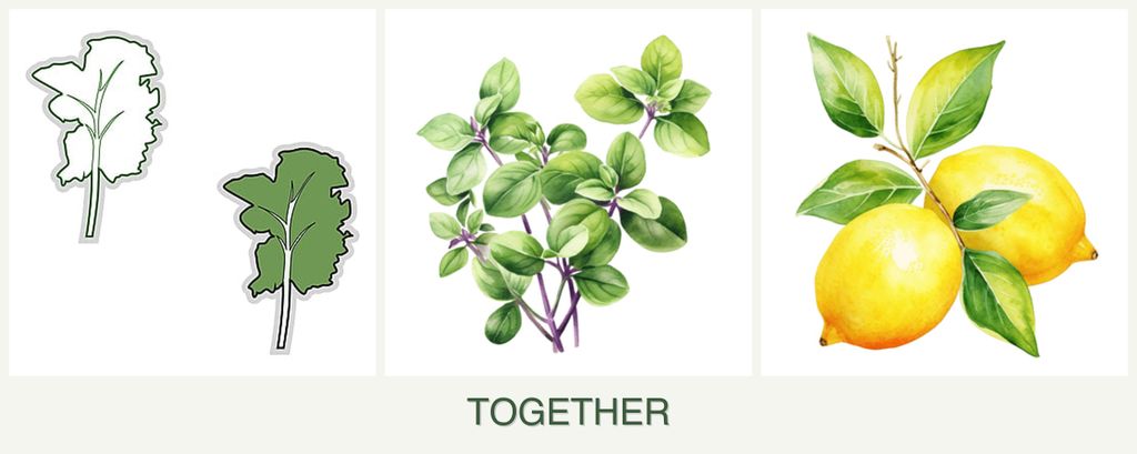 Can you plant kale, oregano and lemons together?