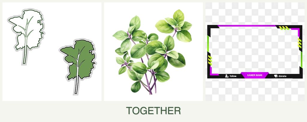 Can you plant kale, oregano and limes together?
