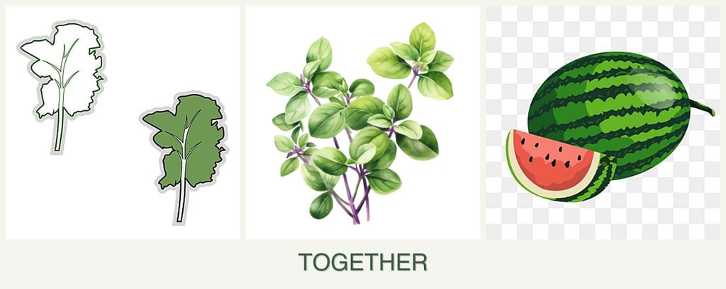 Can you plant kale, oregano and melons together?