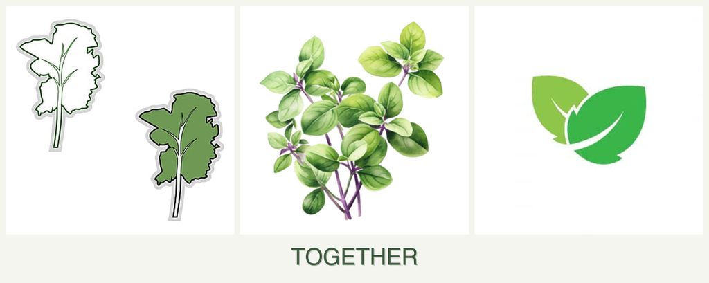 Can you plant kale, oregano and mint together?