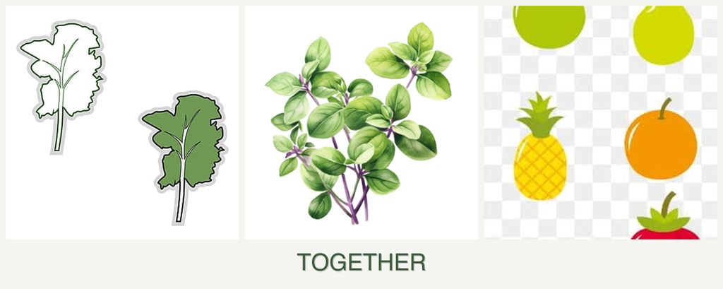 Can you plant kale, oregano and pears together?