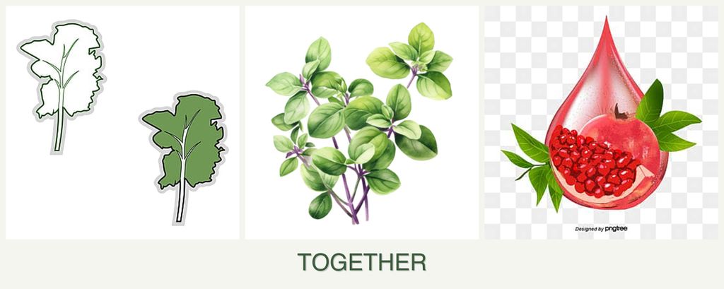 Can you plant kale, oregano and pomegranates together?