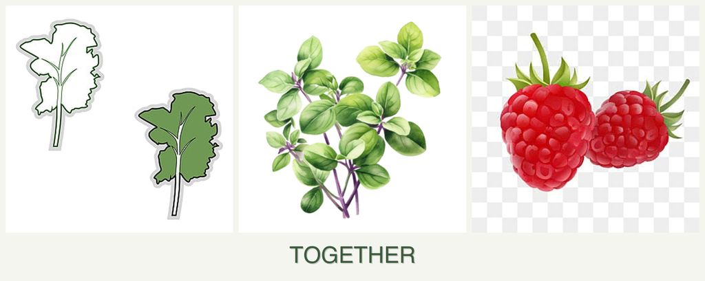 Can you plant kale, oregano and raspberries together?
