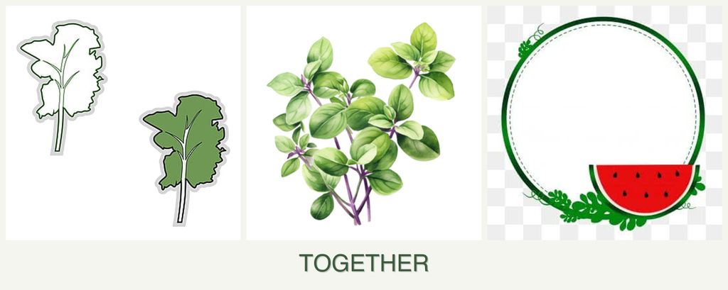 Can you plant kale, oregano and watermelons together?