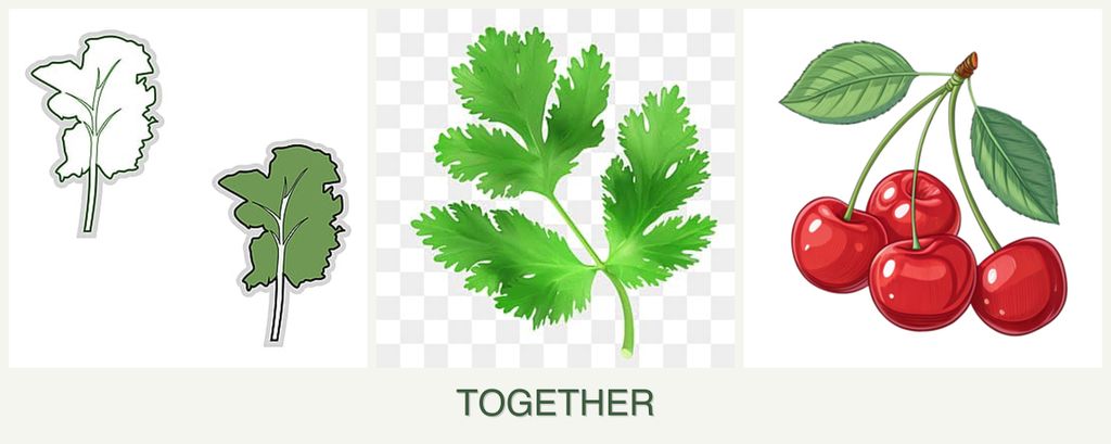 Can you plant kale, parsley and cherries together?