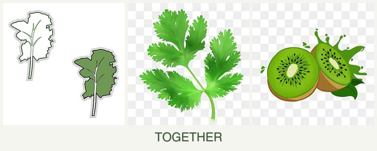Can you plant kale, parsley and kiwi together?
