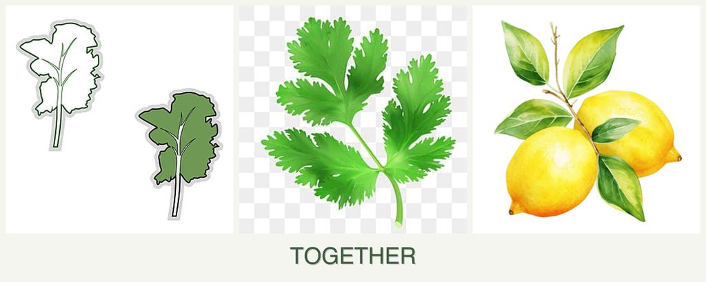 Can you plant kale, parsley and lemons together?