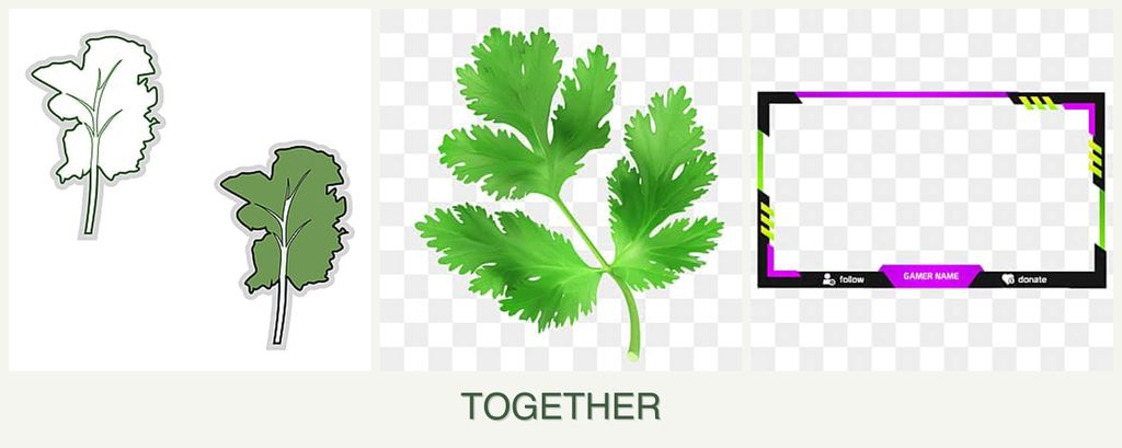 Can you plant kale, parsley and limes together?
