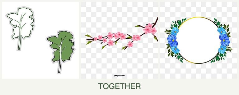 Can you plant kale, peaches and zinnias together?