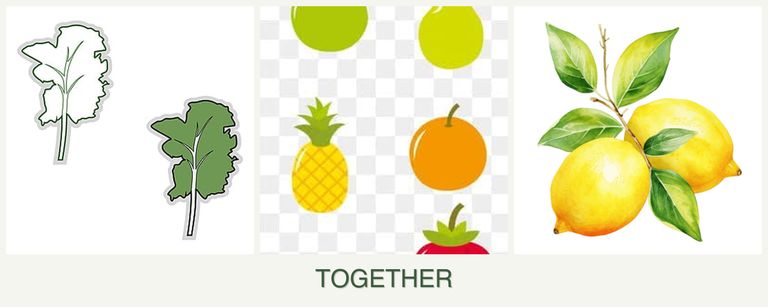 Can you plant kale, pears and lemons together?