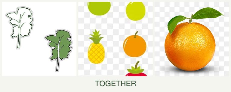 Can you plant kale, pears and oranges together?