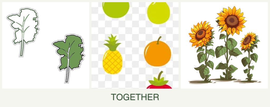 Can you plant kale, pears and sunflowers together?