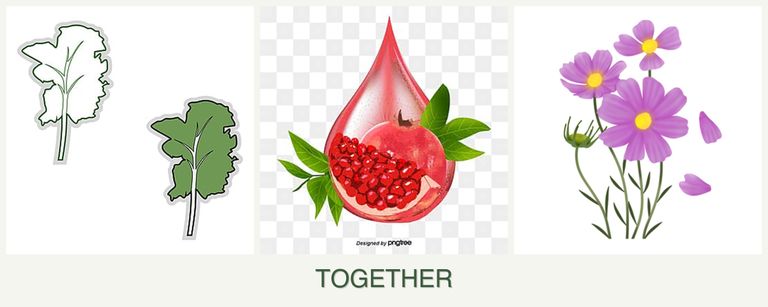Can you plant kale, pomegranates and cosmos together?