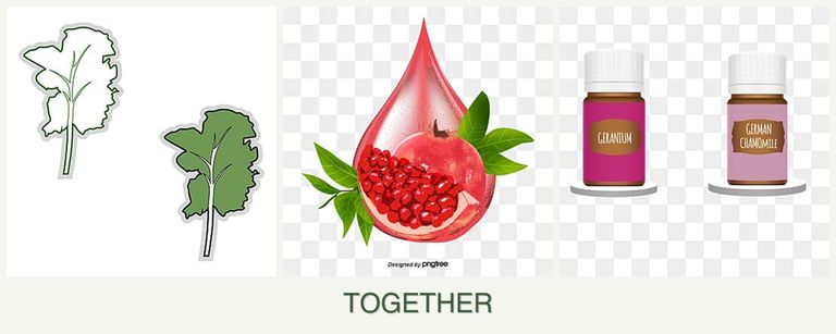 Can you plant kale, pomegranates and geraniums together?