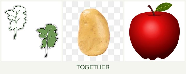 Can you plant kale, potatoes and apples together?