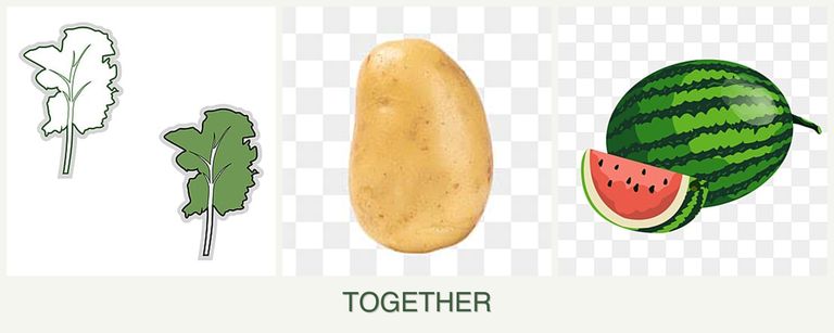 Can you plant kale, potatoes and melons together?