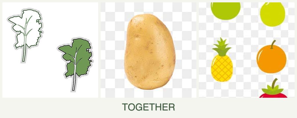 Can you plant kale, potatoes and pears together?